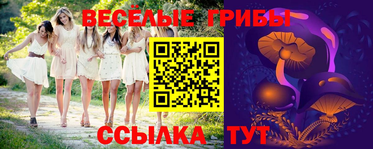 Псилоцибиновые грибы MAGIC MUSHROOMS Тихвин
